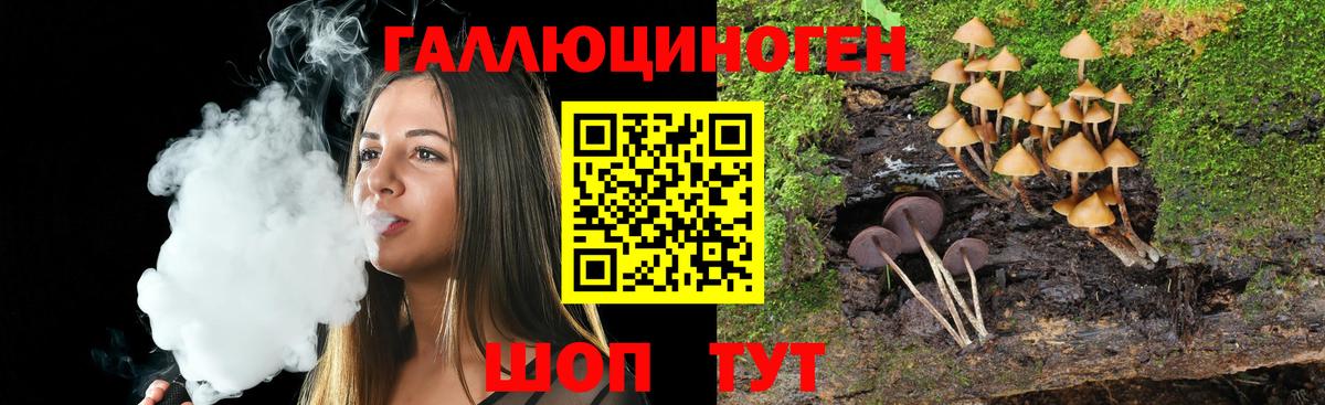 Галлюциногенные грибы Psilocybine cubensis  Вход с VPN  Владивосток 